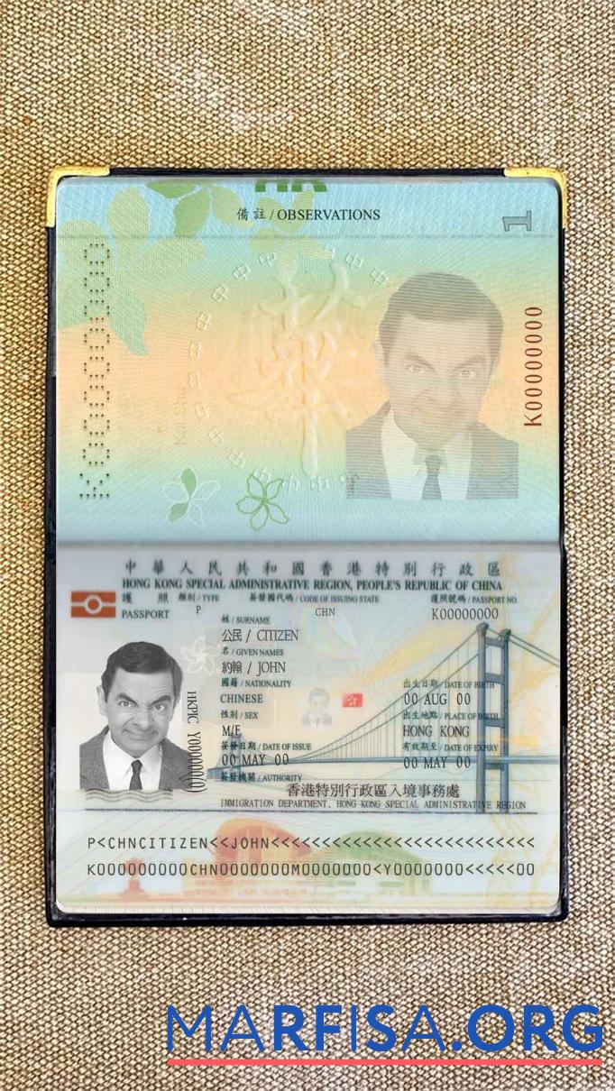 Blank Hong Kong pass photo look example